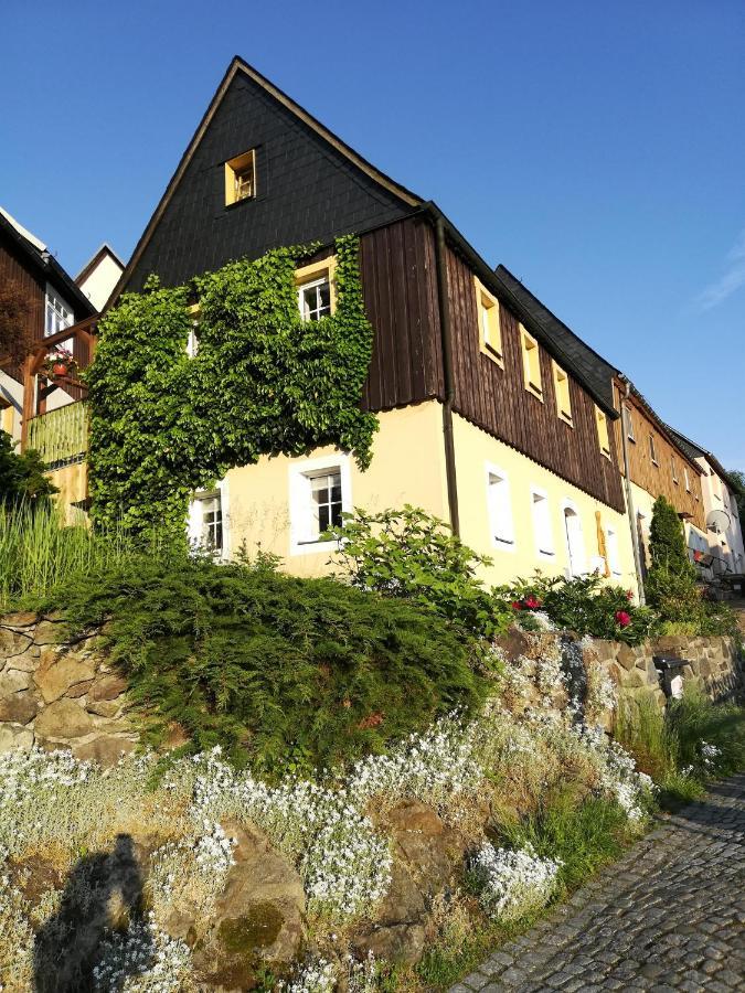 Ferienhaus 3 Eulen Алтенберг Източен Ерцгебирге Екстериор снимка